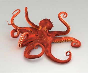 Modern Aquatic Animals-ID:456763987