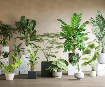 Modern Ground Green Plant Potted Plants-ID:293210035