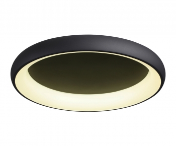 Modern Ceiling Ceiling Lamp-ID:868788005