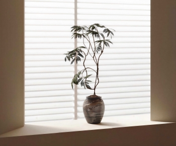 Wabi-sabi Style Ground Green Plant Potted Plants-ID:281770941