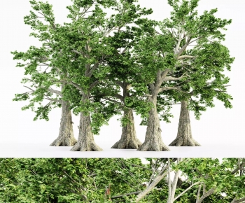 Modern Tree-ID:400633106