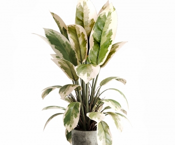 Modern Ground Green Plant Potted Plants-ID:266140947
