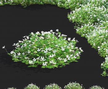 Modern Shrubbery-ID:172988896