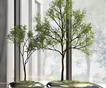 Modern Tree-ID:795422086