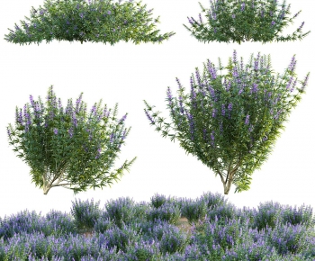 Modern Flowers And Grass-ID:944013123
