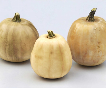 Modern Vegetables-ID:172868019