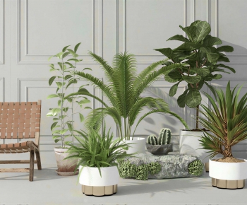 Modern Ground Green Plant Potted Plants-ID:586175923