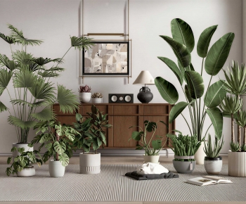 Modern Ground Green Plant Potted Plants-ID:536720047