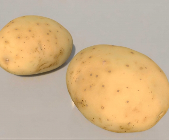 Modern Vegetables-ID:891161926