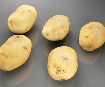 Modern Vegetables-ID:928792009