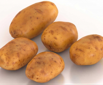 Modern Vegetables-ID:285712963