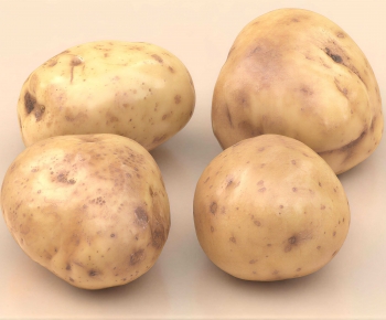 Modern Vegetables-ID:816637998