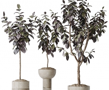 Modern Ground Green Plant Potted Plants-ID:102429483