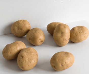 Modern Vegetables-ID:421221974