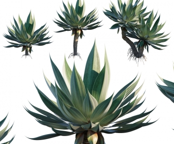 Modern Plant-ID:695099127