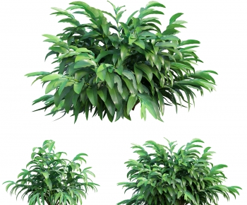 Modern The Grass-ID:983760123