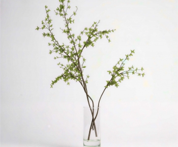Modern Aquatic Green Plant-ID:177777053