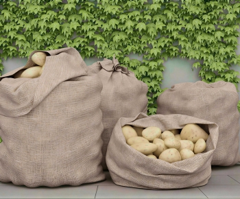Modern Vegetables-ID:858520032