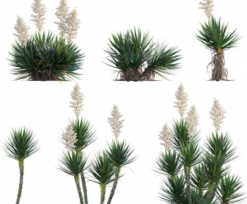 Modern The Grass-ID:412637007