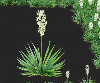 Modern The Grass-ID:914096122