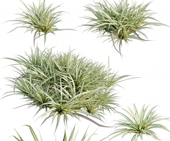 Modern Flowers And Grass-ID:116871125
