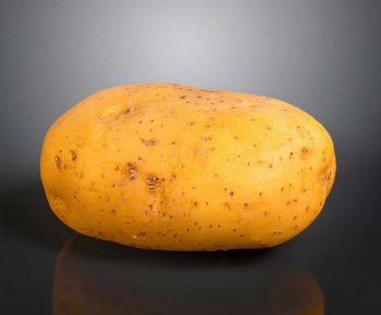 Modern Vegetables-ID:100309833