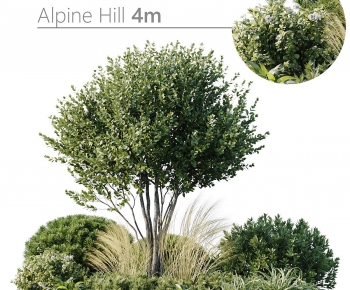 Modern Plant Pile-ID:252038969