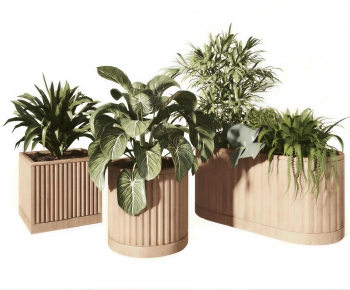 Modern Flower Bed, Flower Bowl, Flower Box-ID:375499015