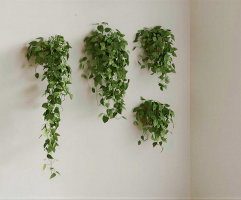 Modern Vine-ID:175584087