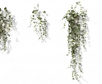 Modern Vine-ID:811053993