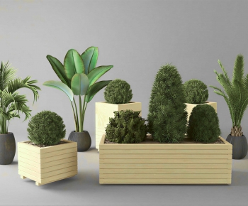 Modern Flower Bed, Flower Bowl, Flower Box-ID:557333957