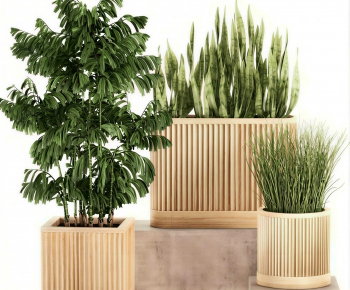 Modern Flower Bed, Flower Bowl, Flower Box-ID:775794983