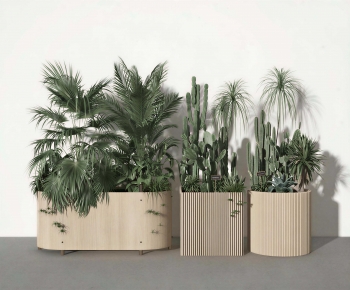 Modern Flower Bed, Flower Bowl, Flower Box-ID:380623103