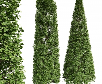 Modern Tree-ID:812840512