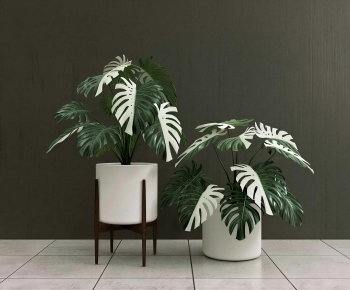 Modern Ground Green Plant Potted Plants-ID:847810037