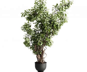 Modern Ground Green Plant Potted Plants-ID:399661142