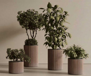 Modern Ground Green Plant Potted Plants-ID:504978905