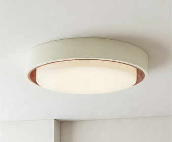 Modern Ceiling Ceiling Lamp-ID:493409633