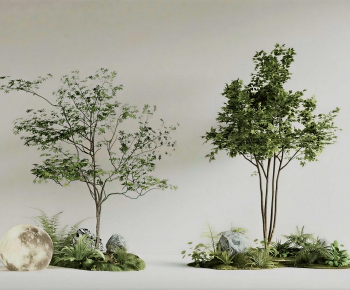 Modern Plant Landscaping-ID:819671241