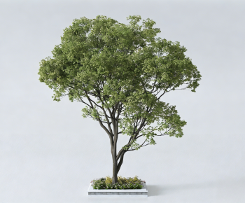 Modern Tree-ID:900402079