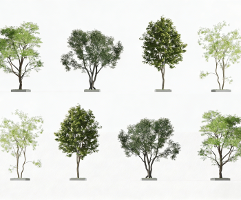 Modern Tree-ID:765969841