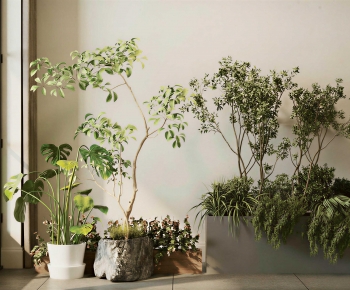Modern Ground Green Plant Potted Plants-ID:956537012