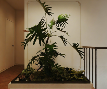Modern Plant Landscaping-ID:859308964