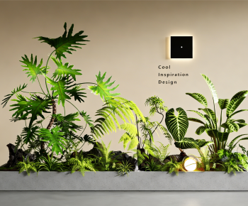 Modern Plant Landscaping-ID:269445904