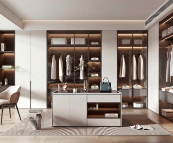Modern Clothes Storage Area-ID:203578954