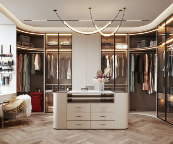 Modern Clothes Storage Area-ID:460999016