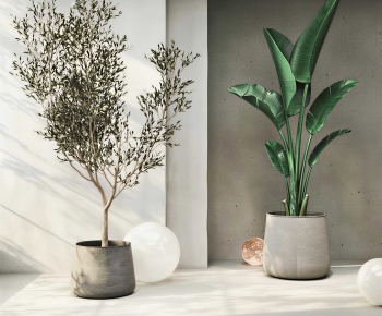 Modern Ground Green Plant Potted Plants-ID:106608951