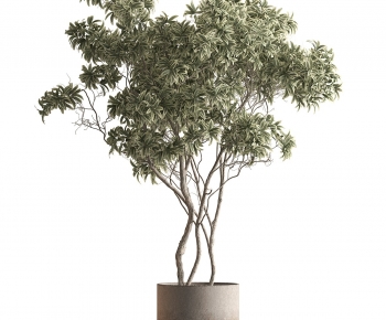 Modern Ground Green Plant Potted Plants-ID:241915949
