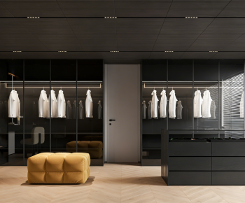 Modern Clothes Storage Area-ID:910193925