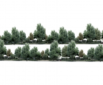 Modern Tree-ID:538785935